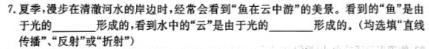 [今日更新]江西省2024年"三新"协同教研共同体高二联考.物理试卷答案