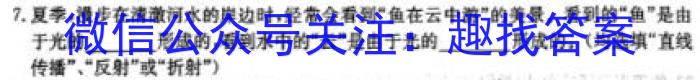 2024普通高等学校招生全国统一考试·模拟信息卷(二)2物理试卷答案