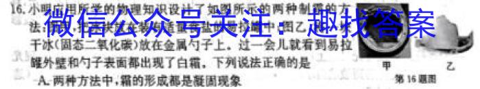 河北省2023-2024学年度高二年级上学期12月联考（台灯·河北）物理试卷答案