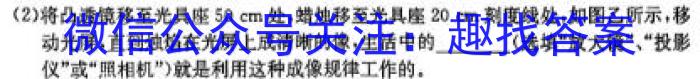 炎德英才大联考 长郡中学2025届高三月考试卷(二)2物理试题答案