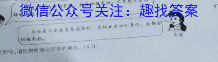山西省介休市2024年第二学期九年级中考摸底考试政治试卷d答案
