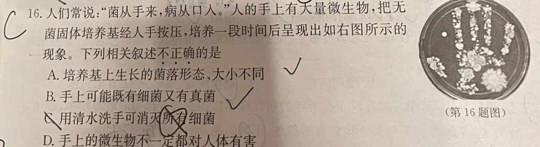 安徽省六安市金安区六安皋城中学2024年初一分班测试生物学部分