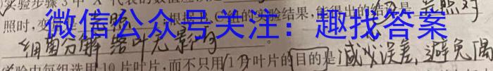 辽宁省沈阳市郊联体2024年9月上学期高三联考生物学试题答案