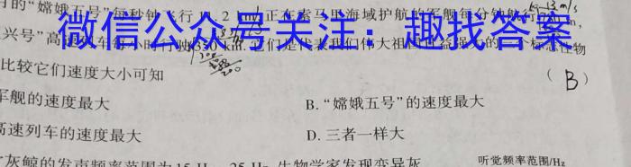 2024安徽省高三质量联合检测试卷（5月）物理试题答案