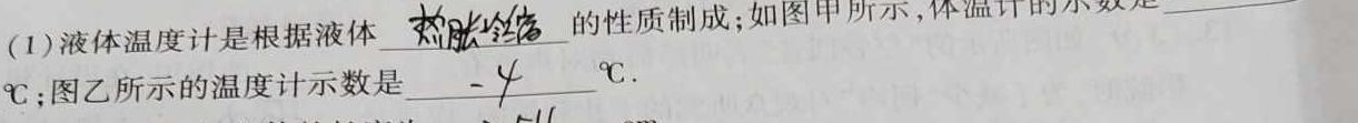 天一大联考 2023-2024学年安徽高二(上)期末质量检测物理试题.