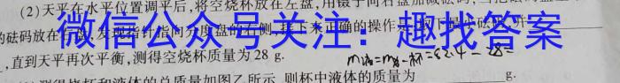 2024届智慧上进 名校学术联盟 高考模拟信息卷押题卷JX(十一)物理试卷答案