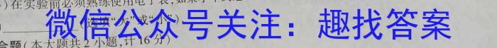 商洛市2024届高三第一次模拟检测(24-245C)物理`