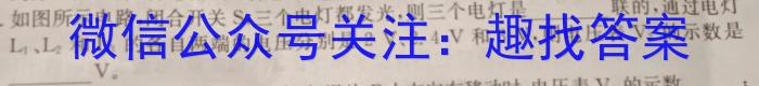 [邵阳二模]2024年邵阳市高三第二次联考试题卷物理`