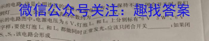 安徽省桐城市2023-2024学年度第二学期八年级期末质量检测试题（CZ219b）物理试卷答案