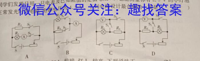 2024年河南省重点中学内部摸底试卷（七）物理`