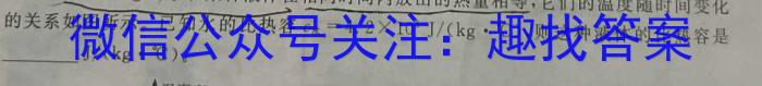 2024届河南省考前冲刺(9198C-H)(5月)物理试卷答案