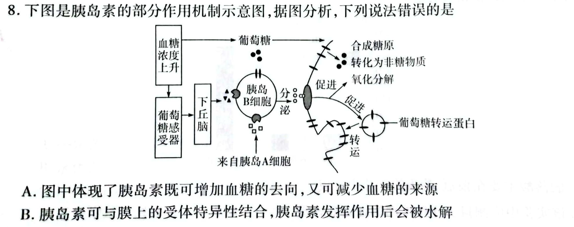 福建省高三年级2024年2月考试(24-337C)生物学部分