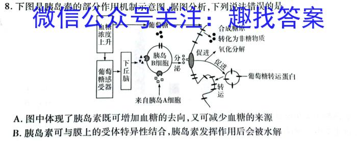 山西省2023-2024学年度七年级上学期第三次月考（二）生物学试题答案