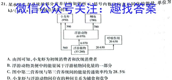 ［阳泉三模］2024年阳泉市高三年级第三次模拟测试试题生物学试题答案