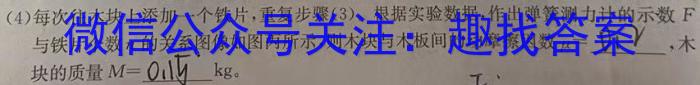 2024届百师联盟高三开年摸底联考（全国卷）物理试卷答案