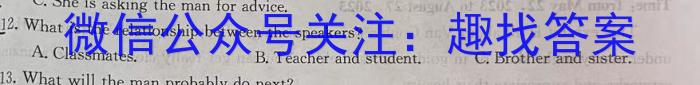 安徽省2024年九年级教学质量检测试题英语试卷答案