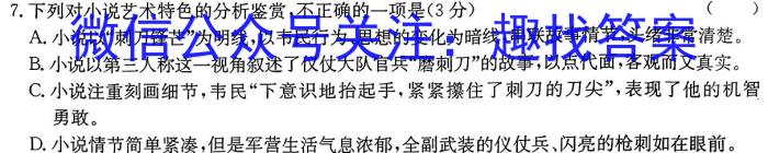 金考卷2024年普通高等学校招生全国统一考试 全国卷 预测卷(六)6语文