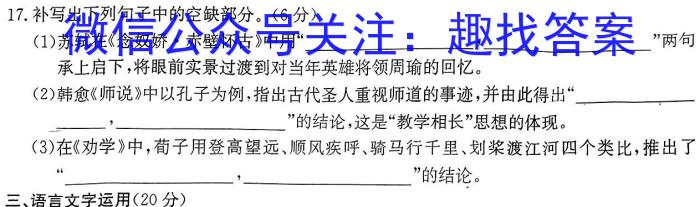 安徽省七年级涡阳县2023-2024年度第二学期义务教育教学质量检测语文