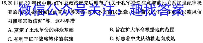 衡水金卷先享题调研卷2024答案(JJ·B)(二)历史试卷答案