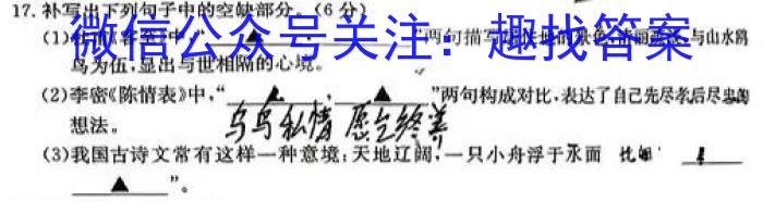 名校计划 2024年河北省中考适应性模拟检测(夺冠二)语文