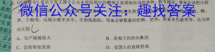 安徽省2024年九年级质量调研检测（二）历史试卷