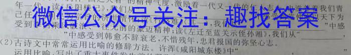 安徽省宿州市、省示范高中2024-2025学年第一学期高二期中教学质量检测语文