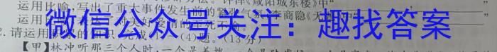 2024届陕西省第六次模拟考试语文