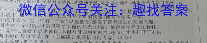 九师联盟·甘肃省2024-2025学年高三教学质量监测开学考语文