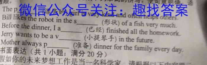 2024届陕西省九年级最新中考定心卷(×加黑点)英语