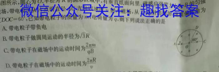 皖江名校2023-2024学年度上学期高二年级联考(1月)物理试卷答案