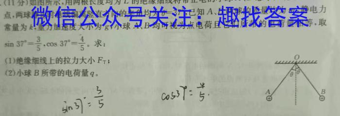 山东省滨州市惠民县2023-2024学年高二下学期期中考试物理试卷答案