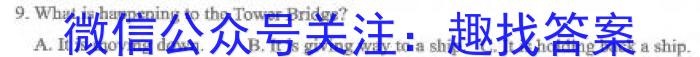 2024年河南省普通高中毕业班高考适应性测试（3月）英语