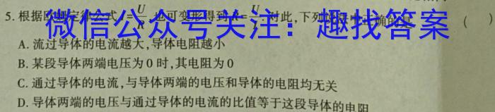 安徽省2024届九年级第一次模拟考试物理试卷答案