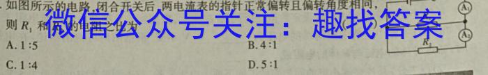 2024年河北省初中毕业生升学文化课考试模拟试卷（XX三）物理试卷答案