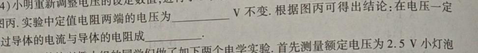 2024年长安区高三第一次模拟考试物理试题.