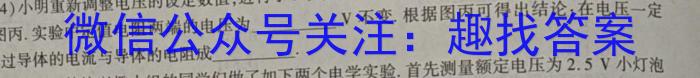 2024届衡中同卷信息卷 新高考版A物理试卷答案