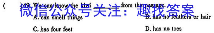 2024年安徽省九年级5月联考英语