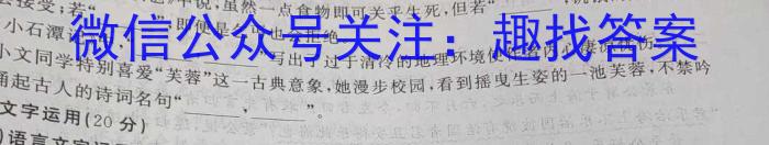 安徽省安师联盟2024年中考权威预测模拟试卷（六）语文