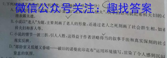 安徽省2023-2024学年九年级第一学期阶段练习四语文