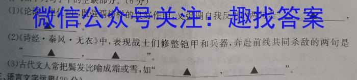 山东省实验中学2024届高三第一次模拟考试(4月)语文