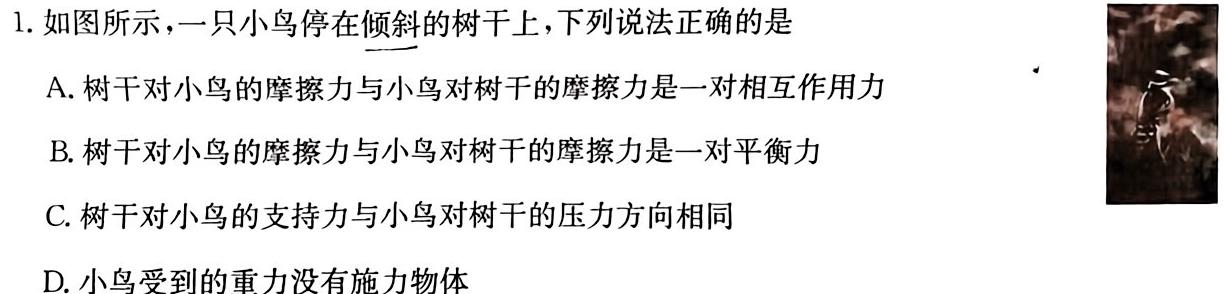 2023-2024学年陕西省高一年级期末测试卷(❀)(物理)试卷答案