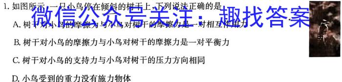 安徽省2023-2024学年八年级下学期教学质量调研一物理试题答案