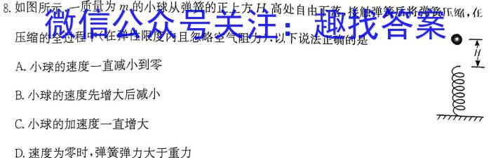 天一大联考 2024届高考全真冲刺卷(四)4物理试卷答案