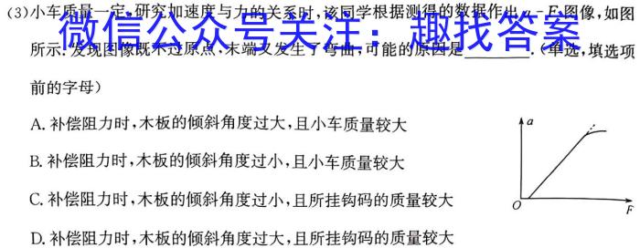 1号卷·2024年A10联盟2023级高二上学期9月初开学摸底考物理试卷答案