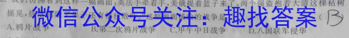 安徽省2023-2024学年度八年级第三次月考（二）历史试卷答案