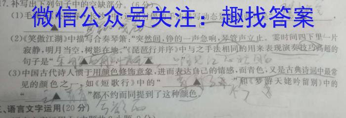 沧州市2023-2024学年第一学期期末教学质量监测（高一）语文