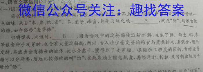 湖南省三湘名校教育联盟·2024届高三第二次大联考/语文