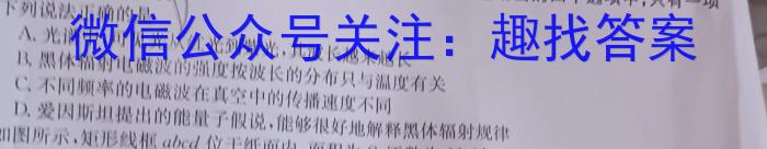 ［肇庆四模］肇庆市2024届高中毕业班第四次教学质量检测物理试卷答案