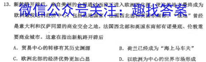 炎德英才大联考 长郡中学2024年高三寒假作业检测历史试卷答案