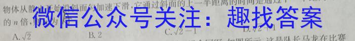 智慧上进·2023-2024学年第一学期高三盟校期末考试物理试卷答案